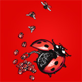Ladybird Factory