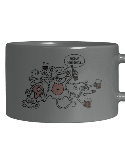 Kocour není doma