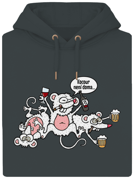 Kocour není doma