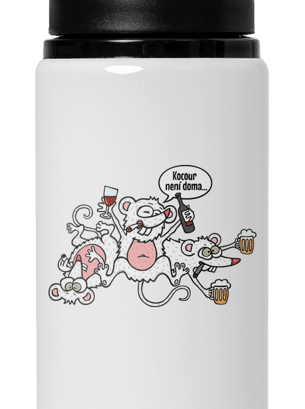 Kocour není doma