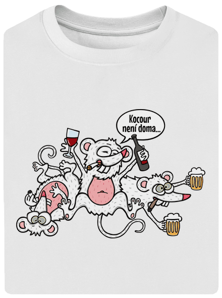 Kocour není doma