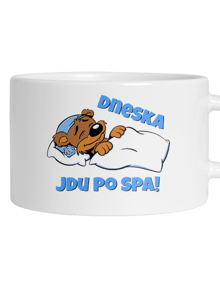 Dneska jdu po spa