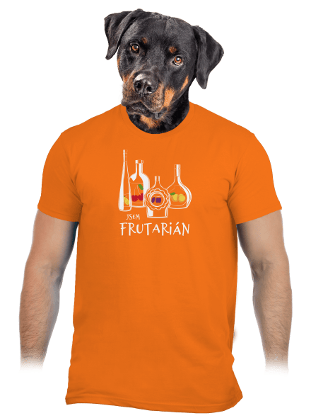 Frutarián pánské tričko Orange