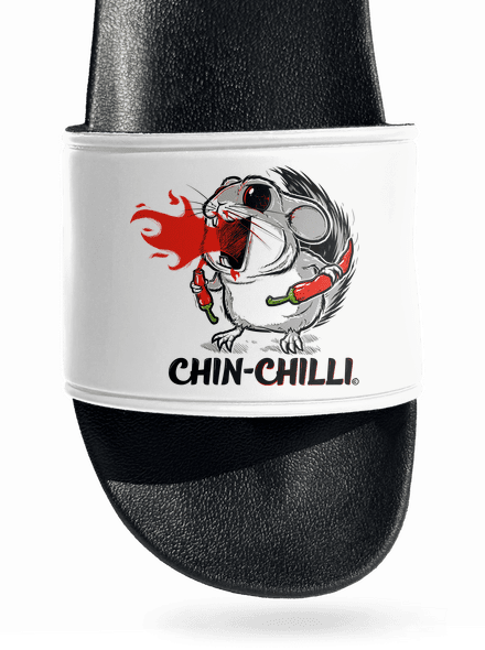 Chinchilli