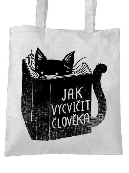 Povinná četba