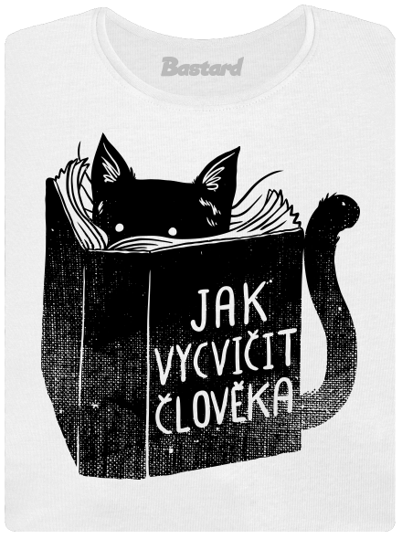 Povinná četba