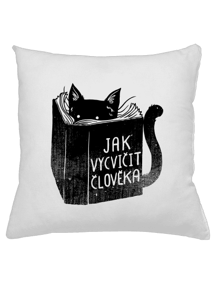 Povinná četba