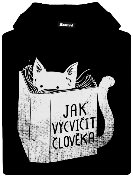 Povinná četba