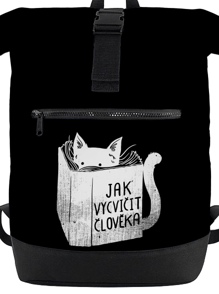 Povinná četba
