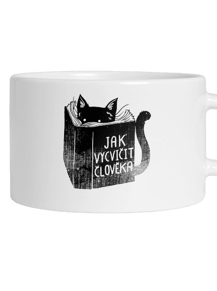 Povinná četba