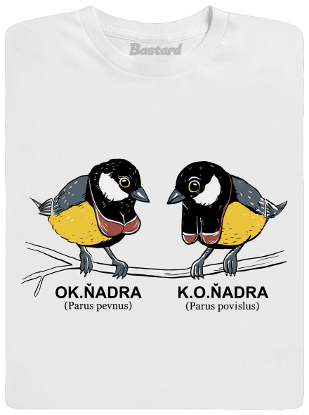 Koňadra