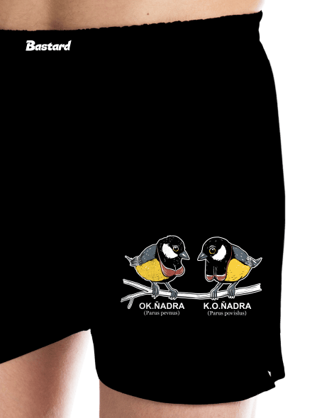 Koňadra