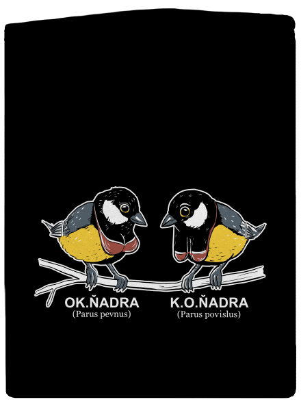 Koňadra