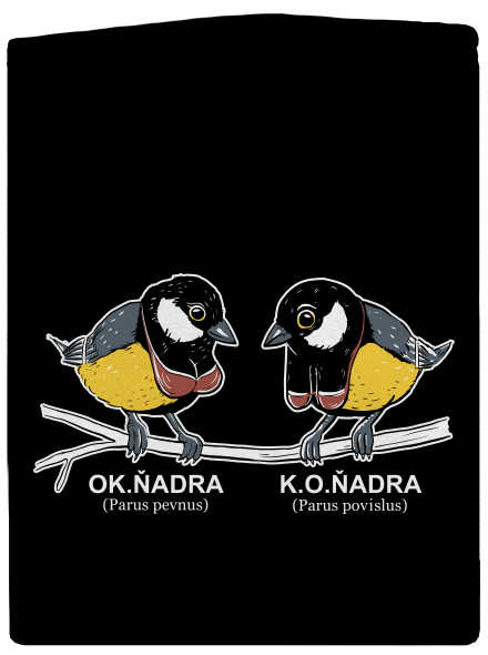 Koňadra