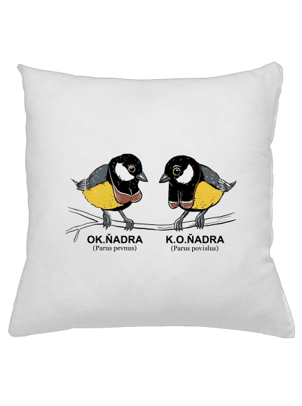 Koňadra