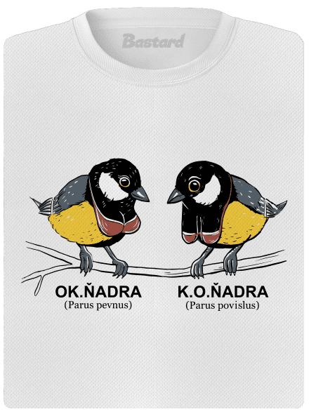 Koňadra