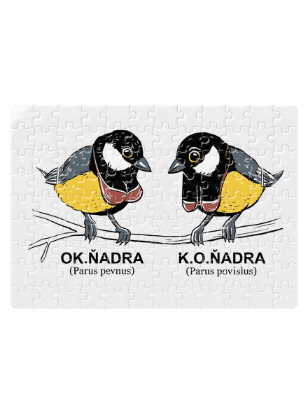 Koňadra