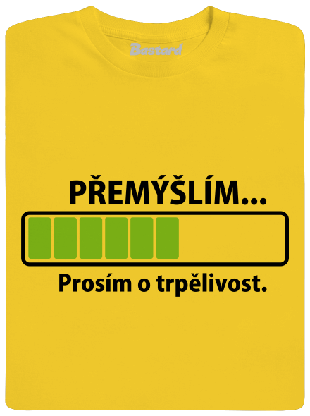 Přemýšlím