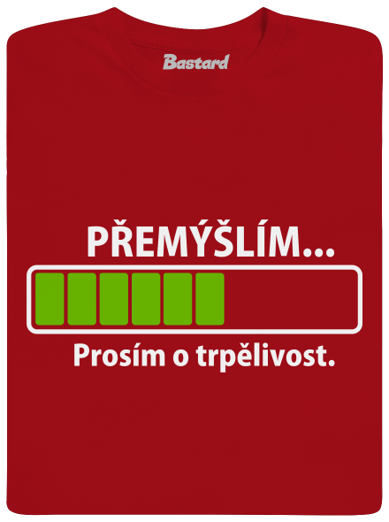Přemýšlím