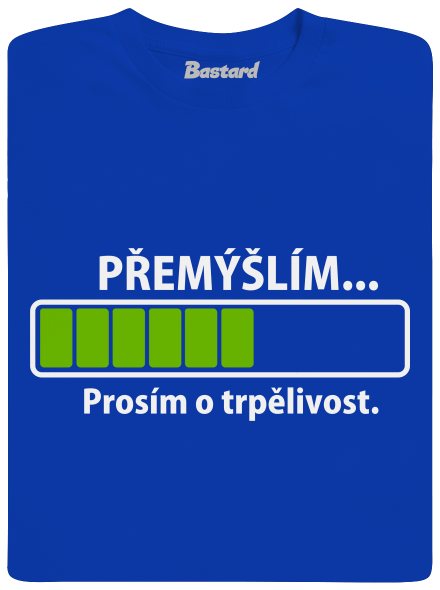 Přemýšlím