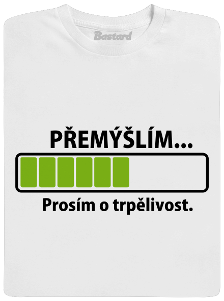 Přemýšlím