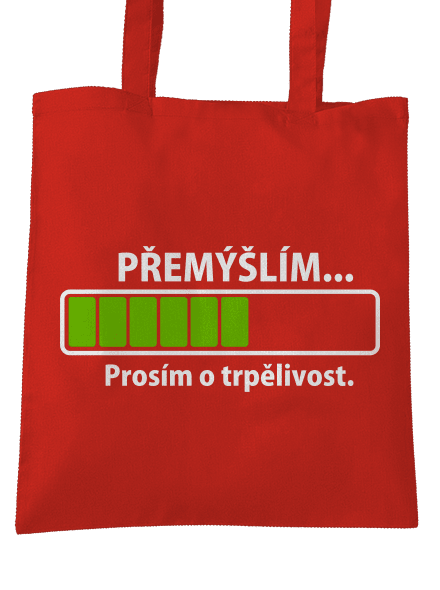 Přemýšlím
