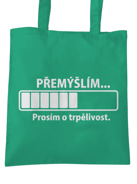 Přemýšlím