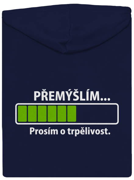 Přemýšlím