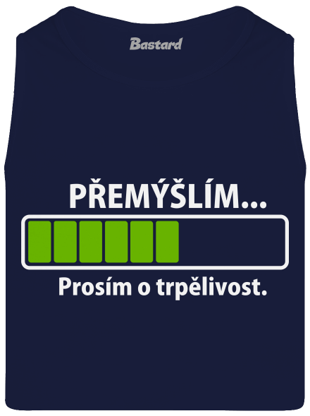 Přemýšlím