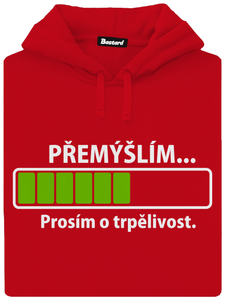 Přemýšlím