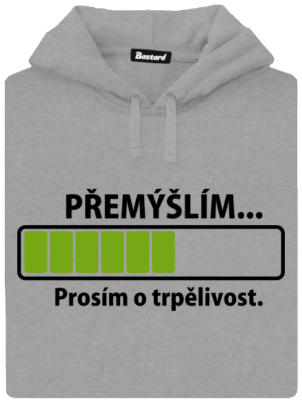 Přemýšlím