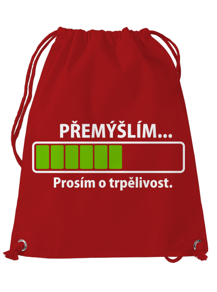 Přemýšlím