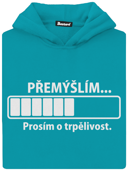 Přemýšlím