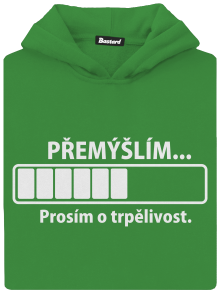 Přemýšlím
