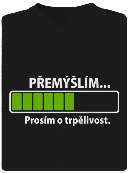 Přemýšlím