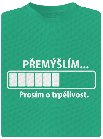 Přemýšlím