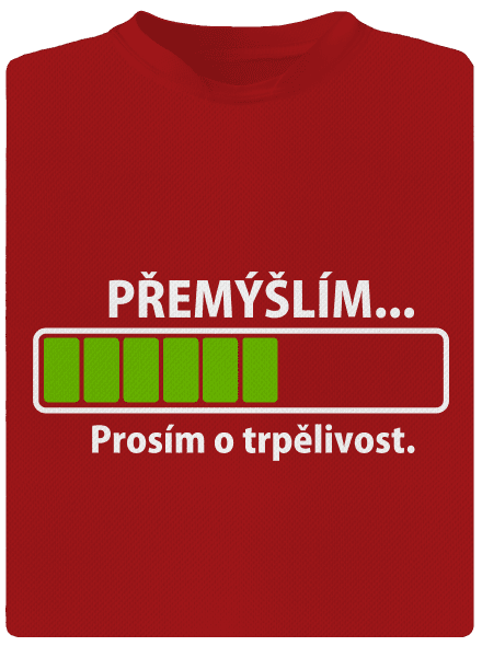 Přemýšlím