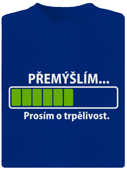 Přemýšlím