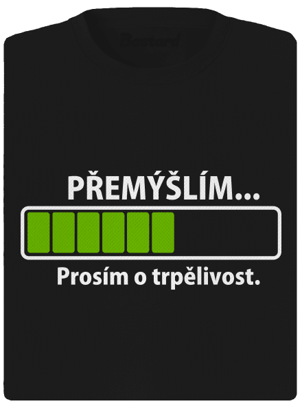 Přemýšlím