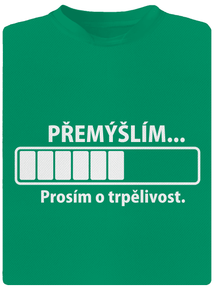 Přemýšlím