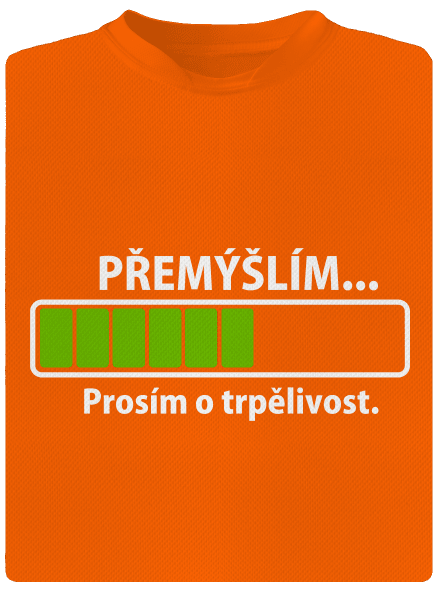 Přemýšlím