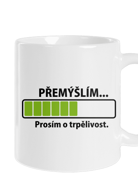 Přemýšlím