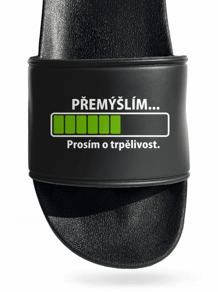 Přemýšlím