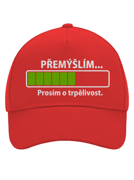 Přemýšlím