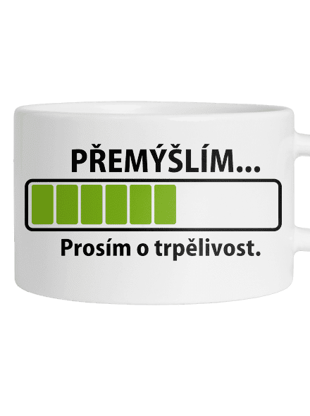 Přemýšlím
