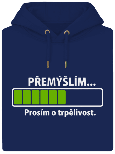 Přemýšlím