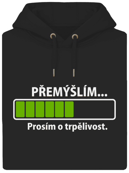 Přemýšlím