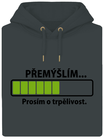 Přemýšlím