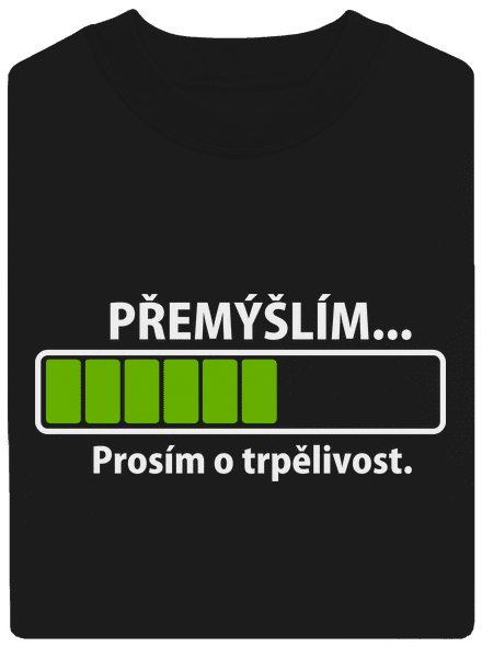 Přemýšlím