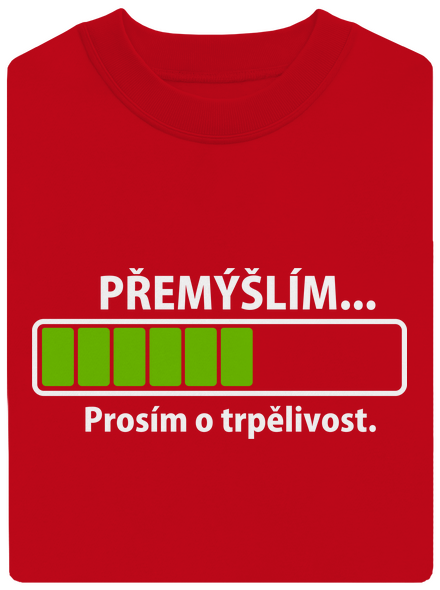 Přemýšlím